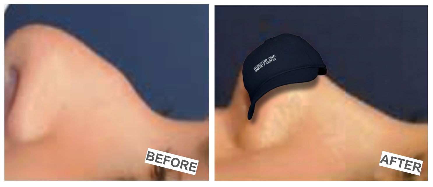 WORSHIP THE INSECT GODS