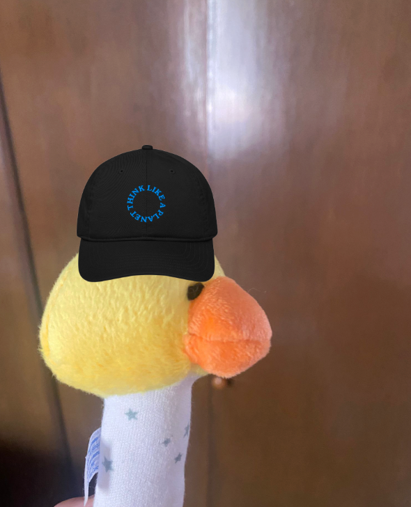 THINK LIIKE A PLANET