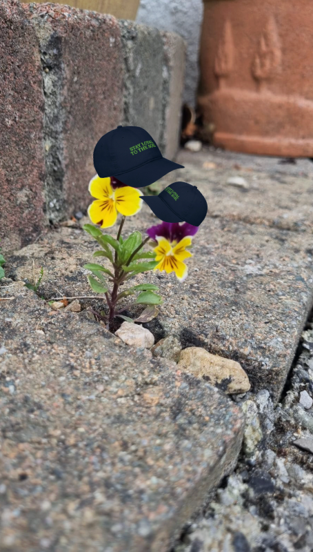 STAY LOYAL TO THE SOIL